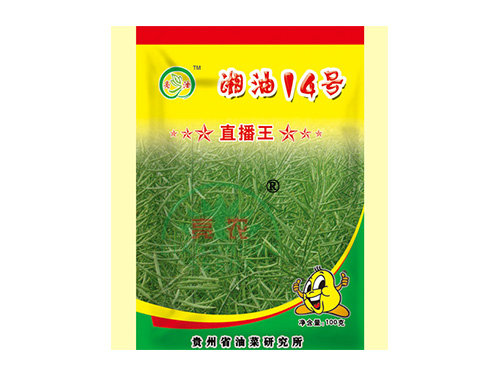 湘油 湘油